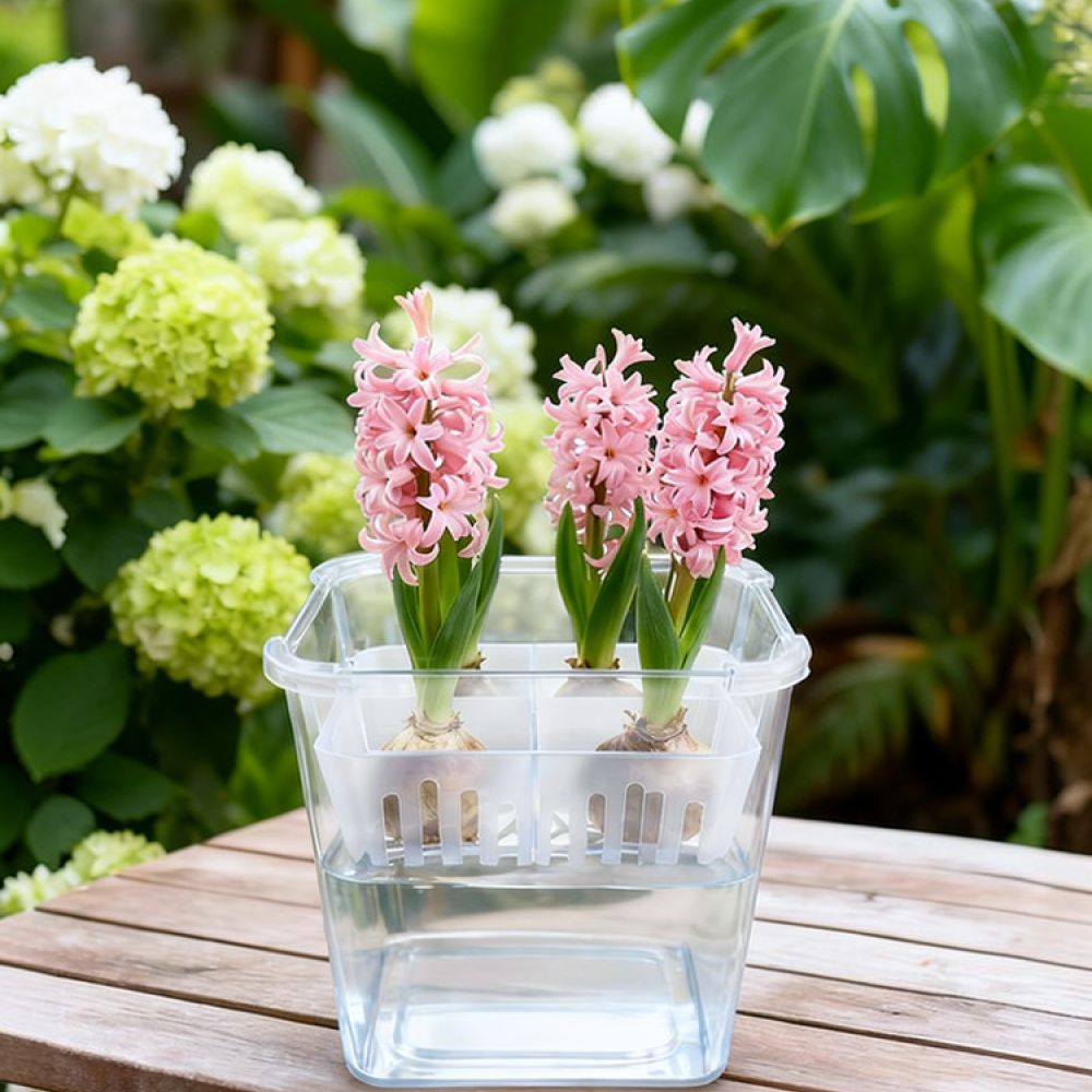 Indoor Plants - وعاء زراعة مائية للزهور، مناسب لزراعة