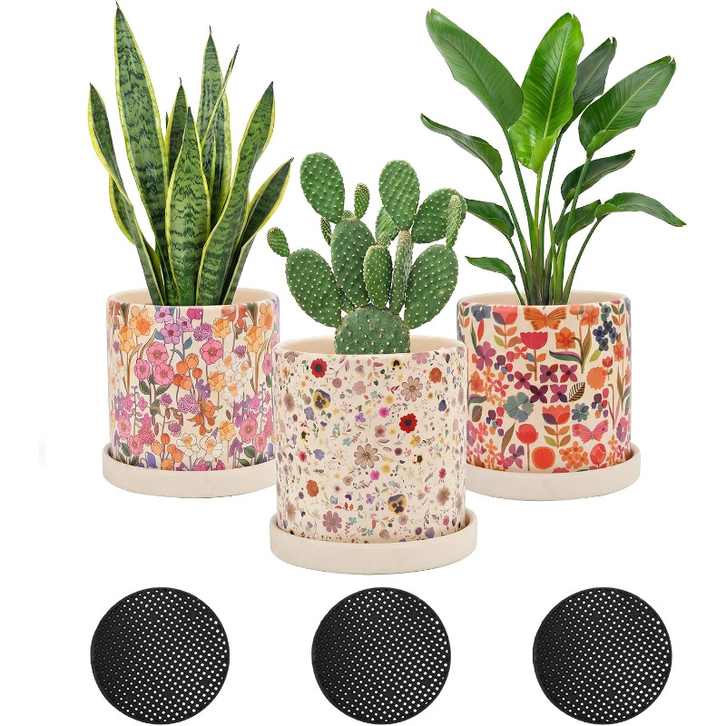 Snake Plant Ceramic - 3 قطع من أواني الزراعة الخزفية