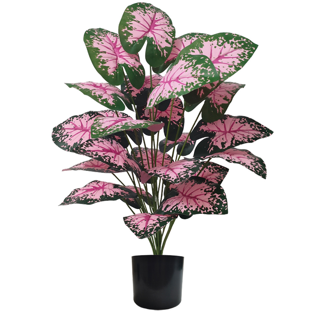 Snake Plant - نباتات أوراق وردية بوعاء نباتات اصطناعية