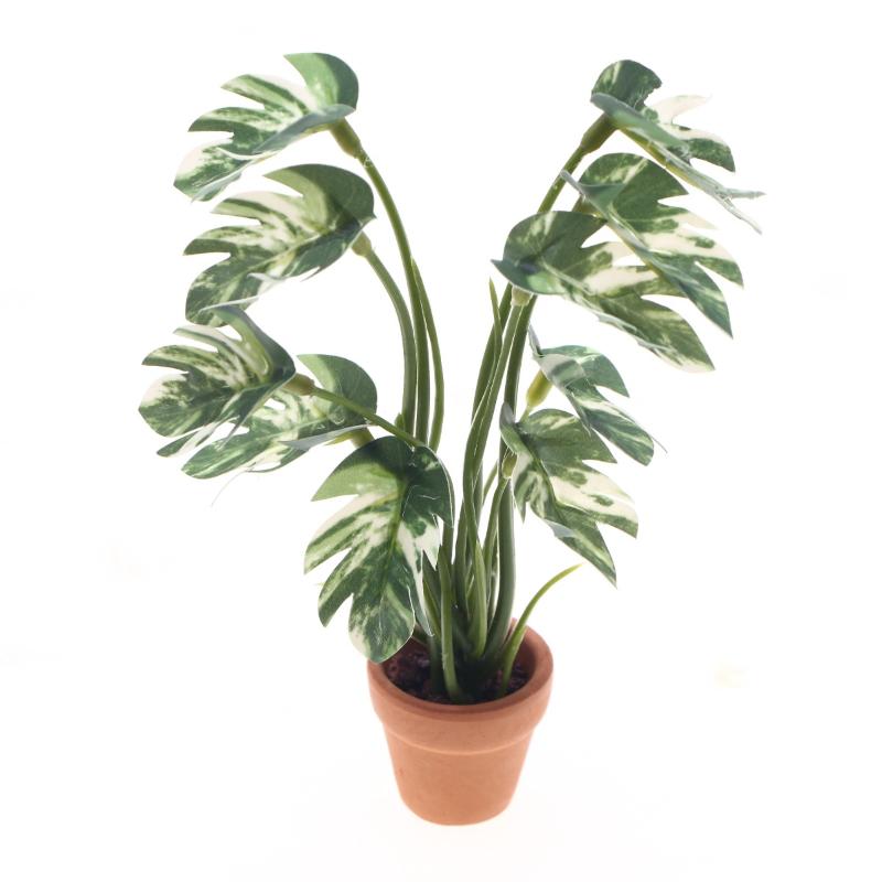 Pothos - جديد. نموذج نبات مونستيرا أخضر محاكي