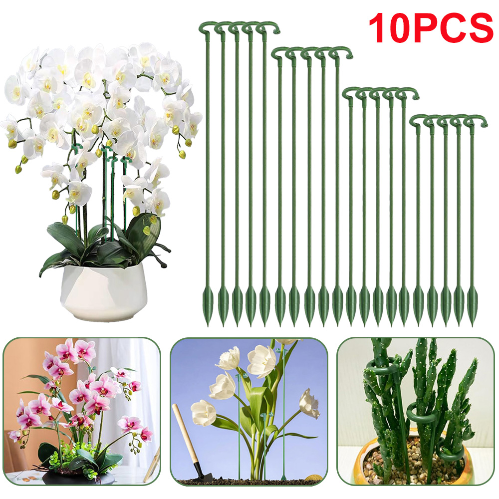 Succulent Set - 5/10 قطع من دعامات النباتات، حامل