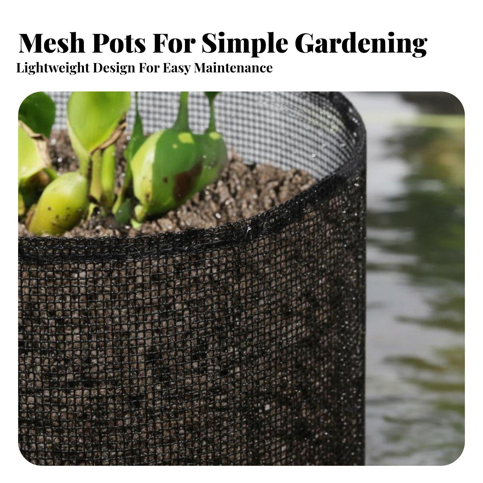 أربعة أوعية لزراعة نباتات زنبق - مراجعة Plant Pot وسعره