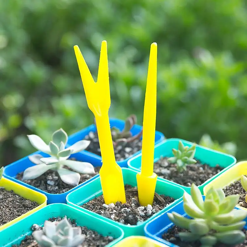 1/10 قطعة البذر العصارة زرع ال - مراجعة Succulent Set وسعره