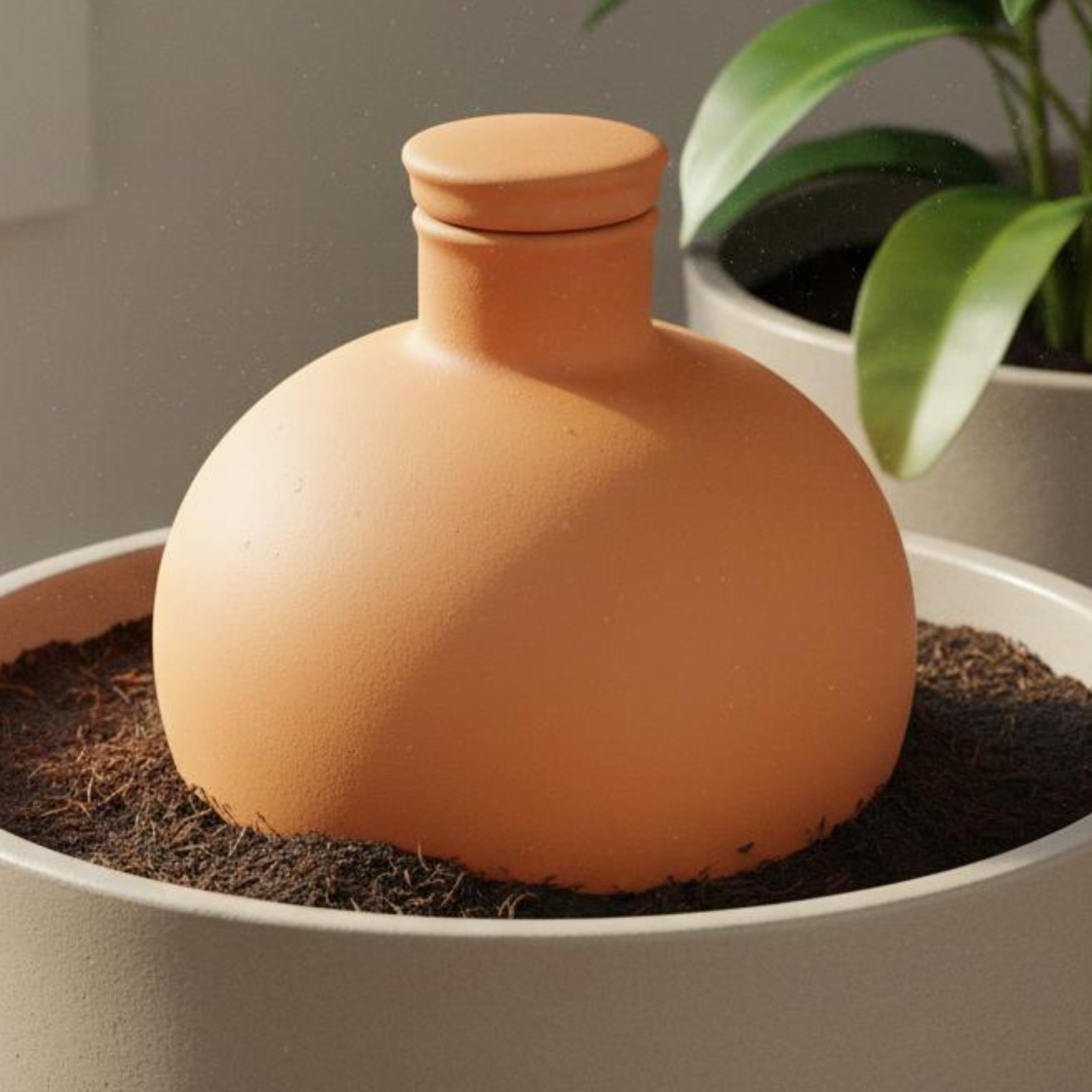 قطعتان من أواني التيراكوتا للر - مراجعة Terracotta Pot وسعره