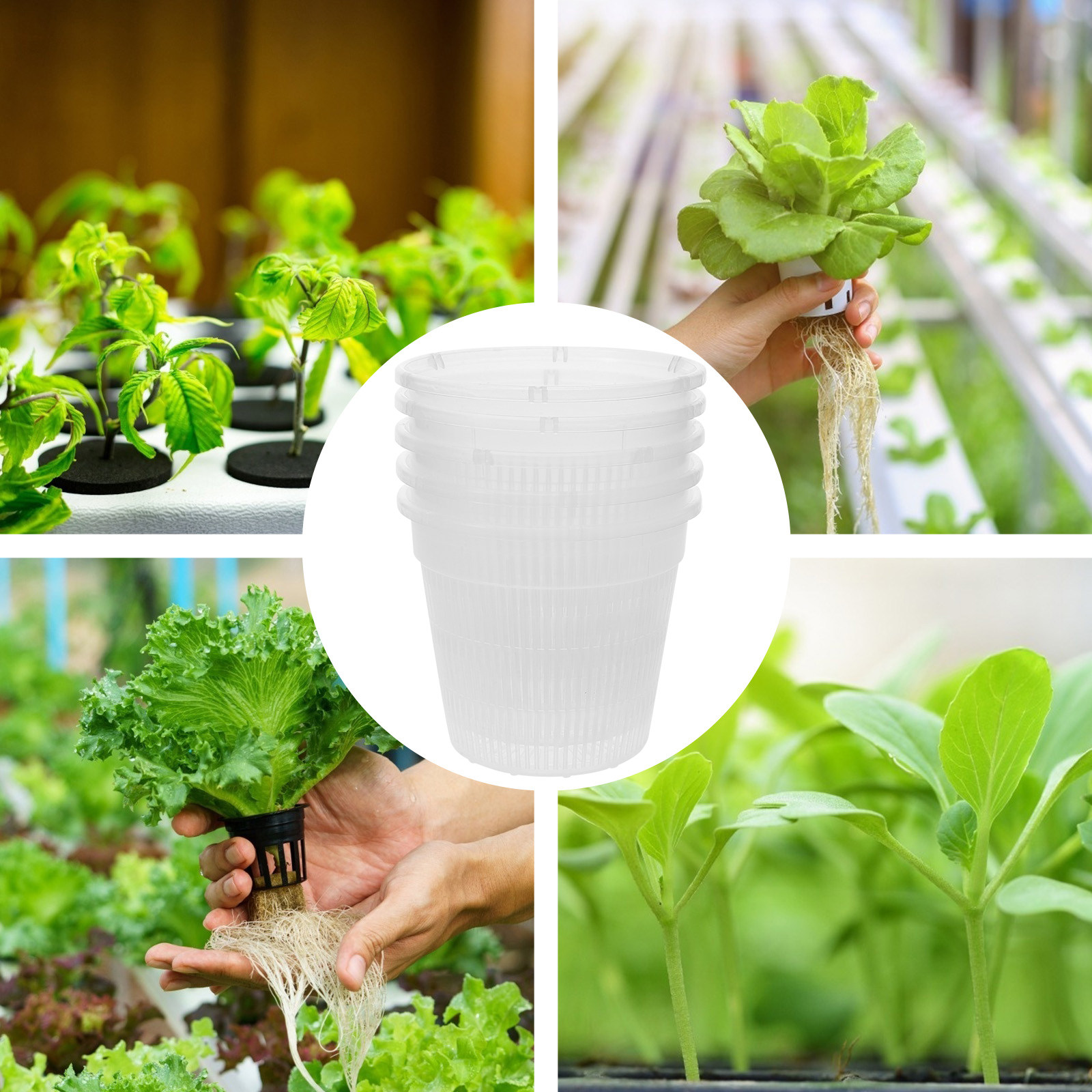 5 قطع من أوعية الزراعة الشبكية - مراجعة Indoor Plants وسعره
