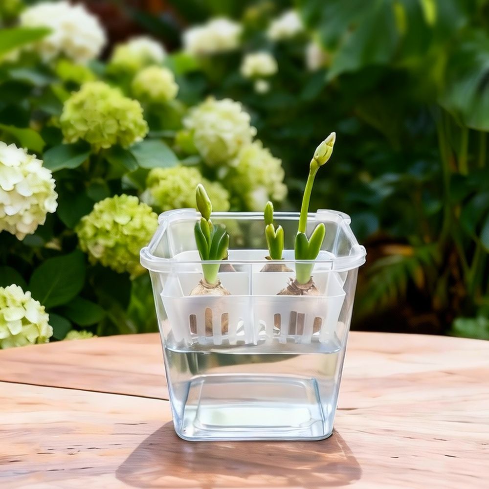 وعاء زراعة مائية للزهور، مناسب - مراجعة Indoor Plants وسعره