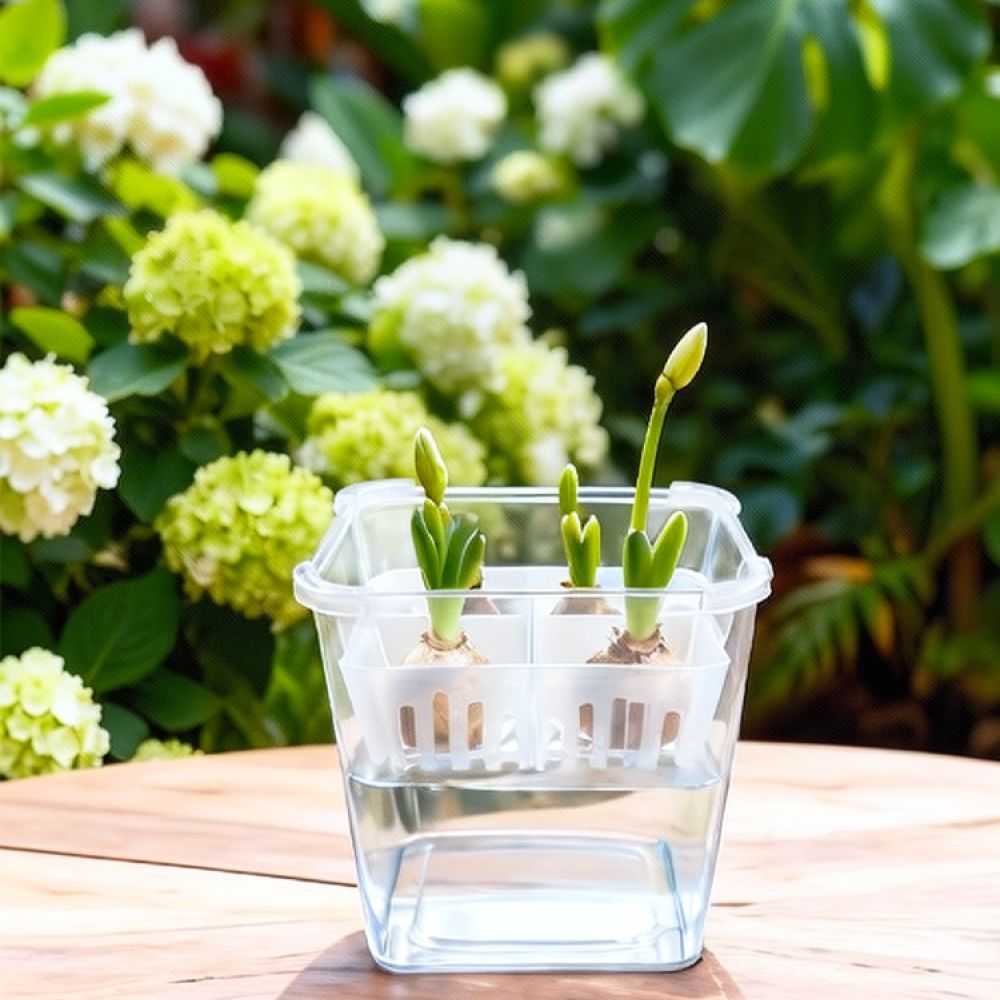 وعاء زراعة مائية للزهور، مناسب - مراجعة Indoor Plants وسعره
