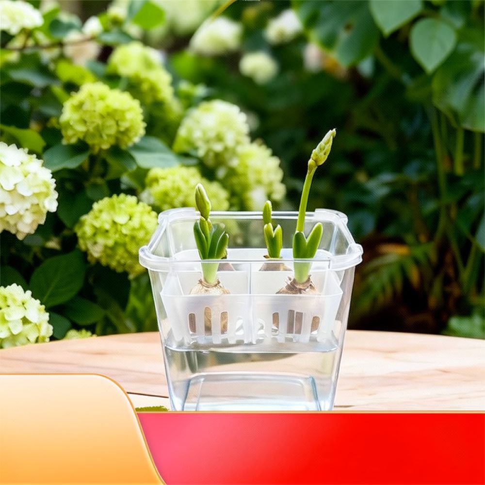 وعاء زراعة مائية للزهور، مناسب - مراجعة Indoor Plants وسعره