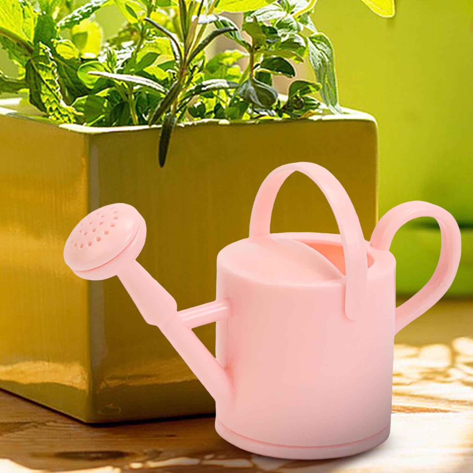 إبريق سقي صغير للأطفال، أداة م - مراجعة Succulent Set وسعره