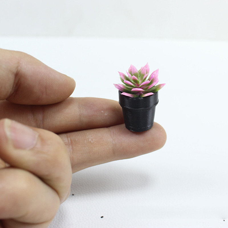8 قطع من النباتات البلاستيكية  - مراجعة Succulent Set وسعره