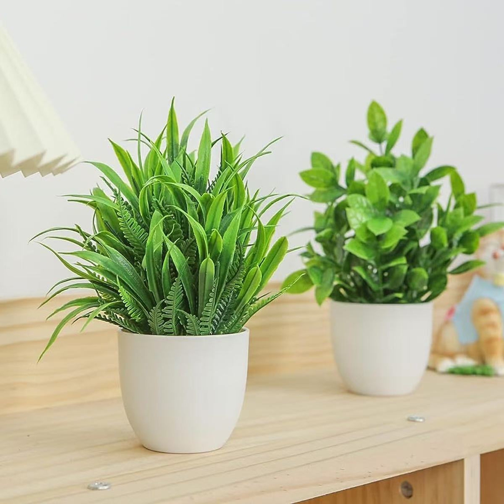 مجموعة من 4 نباتات اصطناعية صغ - مراجعة Succulent Set وسعره