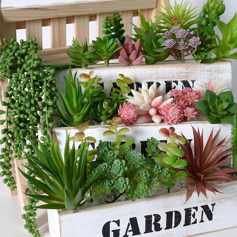 10/20 قطعة نباتات عصارية خضراء - مراجعة Snake Plant وسعره