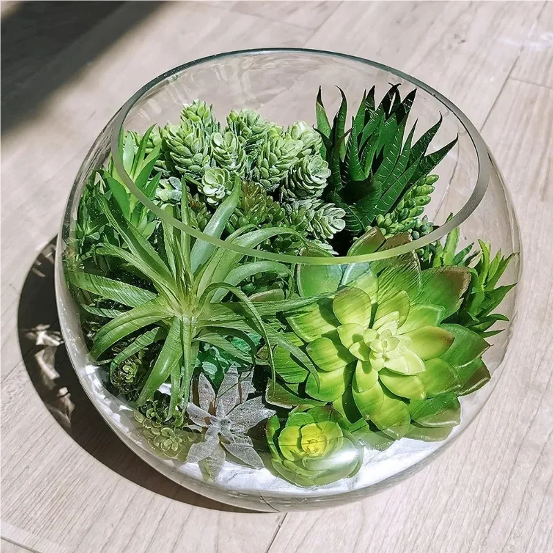10/20 قطعة نباتات عصارية خضراء - مراجعة Snake Plant وسعره
